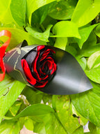 Luxury Black & Red Rose Bouquet – Elegant Handmade Gift for Special Occasions